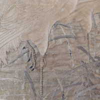          Client: Smith. Item: Japanese Embroidery with Cranes picture number 17
