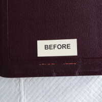          Family Bible picture number 267
