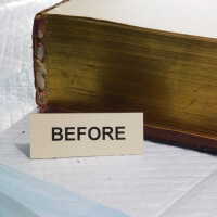          Family Bible picture number 27
