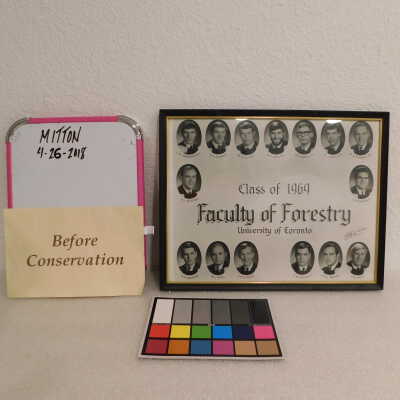 Faculty of Forestry, class portraits 