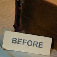          Family Bible picture number 28
