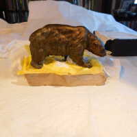          Bear picture number 4
