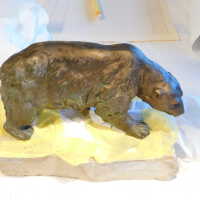          Bear picture number 5
