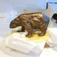          Bear picture number 6
