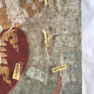 After agar test showing effectiveness of dpta gel