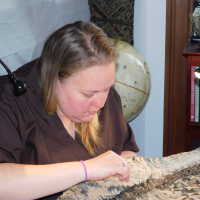          Drapery picture number 12
