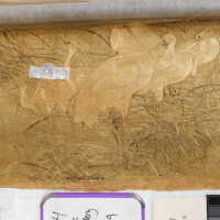          Client: Smith. Item: Japanese Embroidery with Cranes picture number 66
