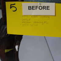          Chair 5 picture number 27
