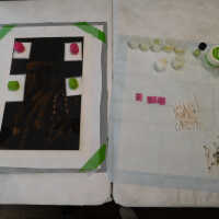 “The Optimist” - Image 65