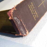          Family Bible picture number 9
