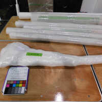          Textile and Tribal Arts Show Rehousing Project picture number 92
