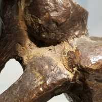          Close up; Heavy corrosion encrustation

