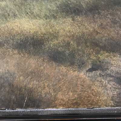 White accretions on surface