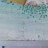          Japanese Screen picture number 263
