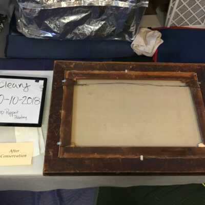 After vacuuming and alcohol wipe of dead mold bloom. 