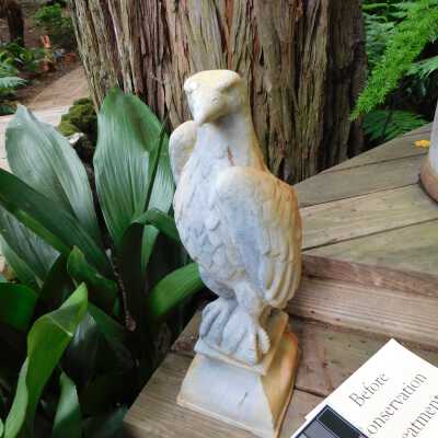 Lead Eagle (facing left)