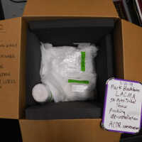          Textile and Tribal Arts Show Rehousing Project picture number 169
