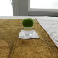          Client: Smith. Item: Japanese Embroidery with Cranes picture number 196
