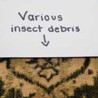          Drapery picture number 33
