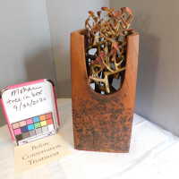          Tree in Box/Plant with red leaves picture number 9
