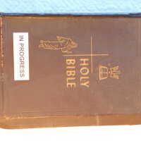          Family Bible picture number 237

