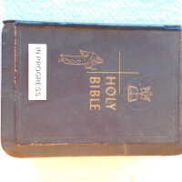          Family Bible picture number 238
