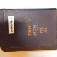          Family Bible picture number 239

