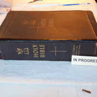          Family Bible picture number 240
