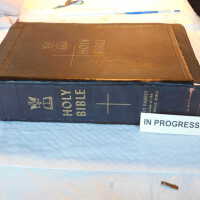         Family Bible picture number 241
