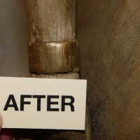          Thai Goddess picture number 79
