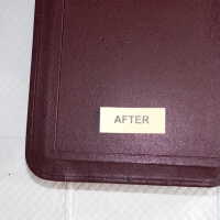          Family Bible picture number 271
