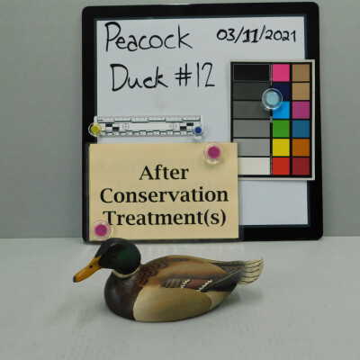Wooden Duck