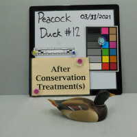          Wooden Duck picture number 2
