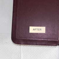          Family Bible picture number 272
