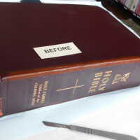          Family Bible picture number 273
