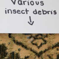          Drapery picture number 34
