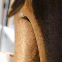          Three Drinkers picture number 21
