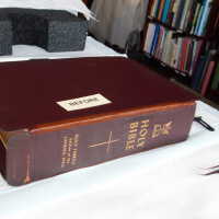          Family Bible picture number 274
