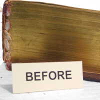         Family Bible picture number 36
