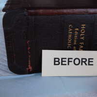         Family Bible picture number 276
