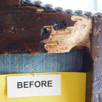          Chair 1 picture number 20
