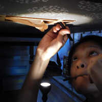          Wen picture number 32
