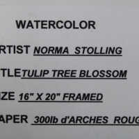         Magnolia picture number 5
