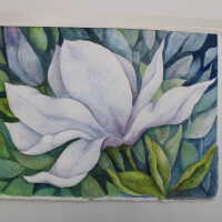          Magnolia picture number 6
