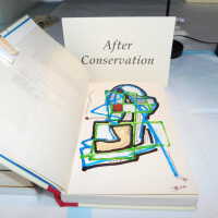          After Conservation
