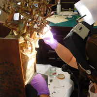          Tree in Box/Plant with red leaves picture number 27
