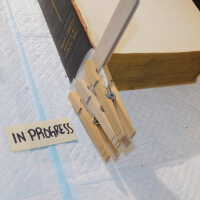          Family Bible picture number 134
