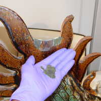          Dragon picture number 27
