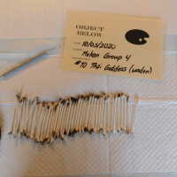          Thai Goddess picture number 19
