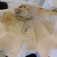          Shell picture number 57
